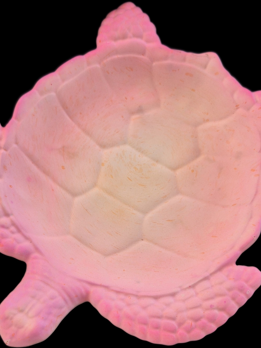 Pink Turtle Shell Trinket Dish